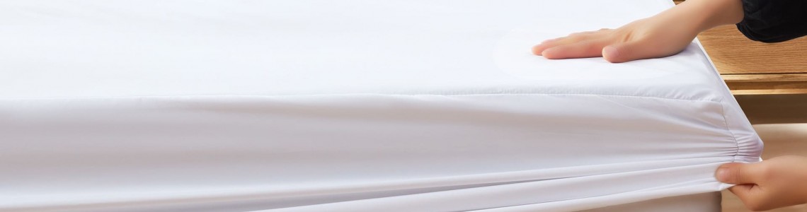 Ce sunt acarienii de praf și cum scăpăm de ei?